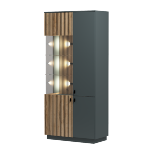 Witryna do salonu FOREST art. 13